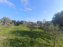 Charger l'image dans la galerie, Sigean, Beau terrain cloturé de 2070m²avec puits et grande serre