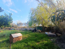 Charger l'image dans la galerie, Sigean, Beau terrain cloturé de 2070m²avec puits et grande serre