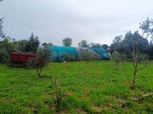 Charger l'image dans la galerie, Sigean, Beau terrain cloturé de 2070m²avec puits et grande serre