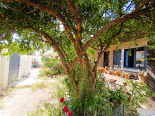 Charger l&#39;image dans la galerie, Port La Nouvelle, jolie villa T4 plain-pied libre sur 3 faces avec garage et jardin
