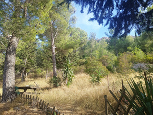 Roquefort des Corbières, Maison vigneronne T5 avec 600m² de terrain attenant