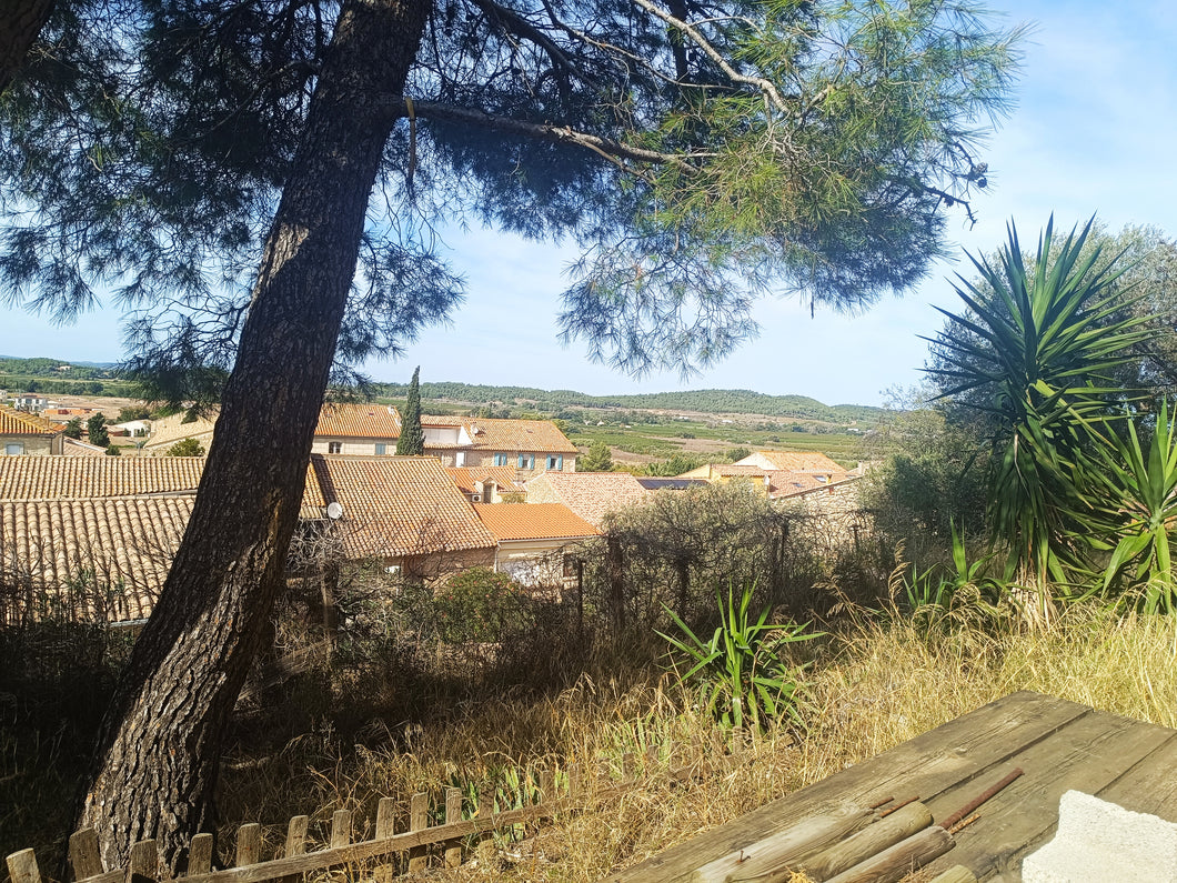 Roquefort des Corbières, Maison vigneronne T5 avec 600m² de terrain attenant